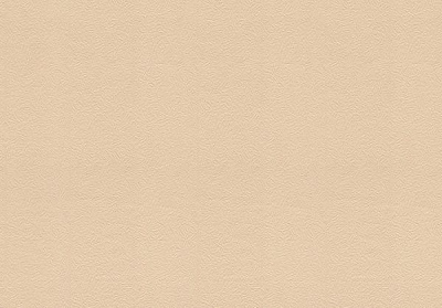 Шпалери вінілові гарячого тиснення Vinil Пекін СШТ 2-1155 1,06x10,05 м