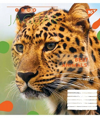 Зошит шкільний Animal А5/24 в лінію YES