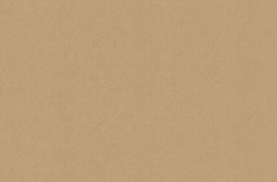 Шпалери вінілові гарячого тиснення Bravo тип 531 81142BR16 1,06x10,05 м