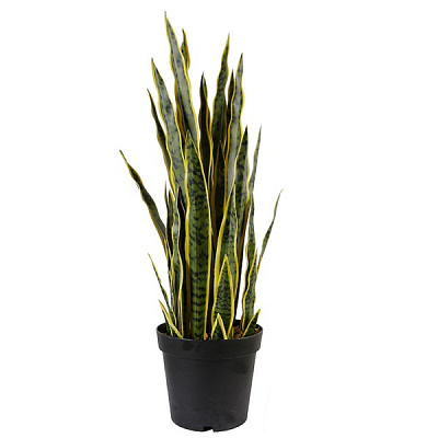 Растение искусственное Sansevieria (DW-12) Engard