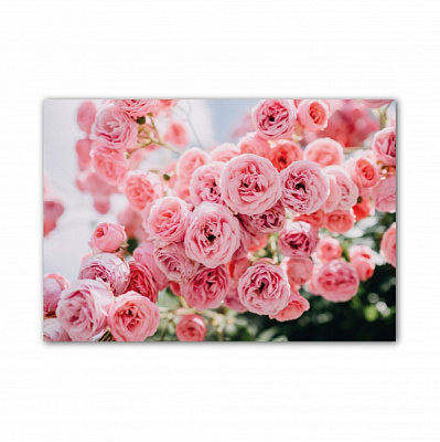 Картина Розы 1300x1900 см GIS UKRAINE 