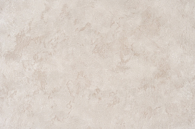 Обои виниловые на флизелиновой основе Славянские обои Elegance collection Ива 2 2412-05 1,06x10,05 м
