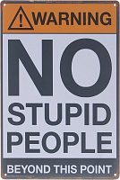 Табличка жестяная печатная No stupid 30x20 см разноцветный 