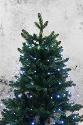 Декоративна гірлянда Blachere MLRS210 світлодіодна (LED) 210 ламп 1,5 м