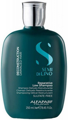 Шампунь Alfaparf для відновлення волосся 250 мл