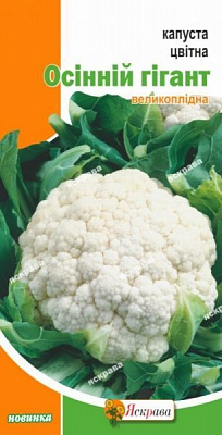 Семена Яскрава капуста белокочанная цветная 0,3г