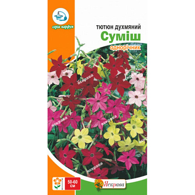 Насіння Яскрава тютюн запашний