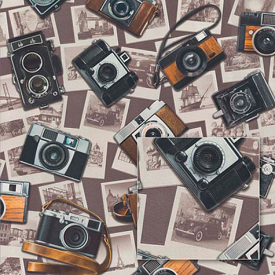 Шпалери зі спіненого вінілу Sintra Decoration 519318 0,53x10,05 м