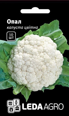 Семена LedaAgro капуста цветная Опал F1 10 шт. (4820119792032)