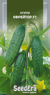 Семена Seedera огурец Ефрейтор F1 10 шт.