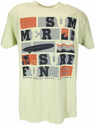 Футболка Regent Regent_150_SUMMER_SURF 1138027330 лайм S светло-зеленый