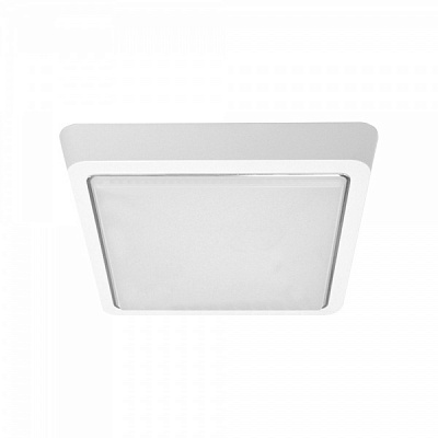 Светильник светодиодный Luminaria S225 20 Вт белый 5500 К DLS 20W 