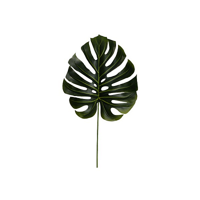 Веточка декоративная Monstera (DW-38) Engard
