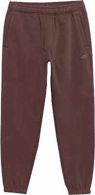 Брюки 4F TROUSERS CAS M565 4FSS23TTROM565-80S р. 3XL коричневый