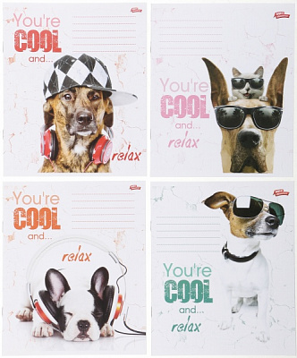 Комплект зошитів 12 аркушів у лінію 20 шт. Мрії збуваються