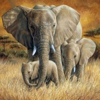 Набір для творчості зі стразами на підрамнику Слони 30x30 см Діамантові ручки