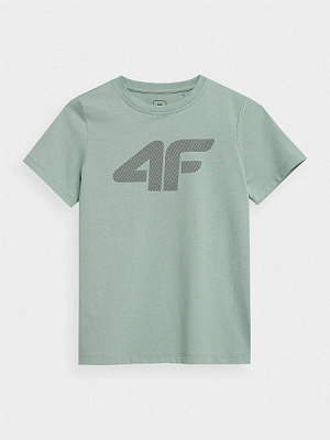 Футболка 4F TSHIRT M641 4FJMM00TTSHM641-47S р.164 зеленый