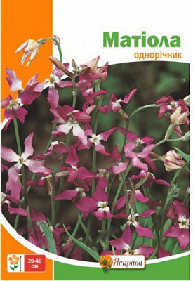 Семена Яскрава маттиола 10 г