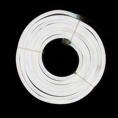 Электрогирлянда линейная Девилон Гибкая трубка теплый белый 950057 светодиодная (LED) 3 м 