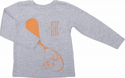 Футболка для мальчиков Luna Kids с принтом Skate 2 р.110 серый меланж 