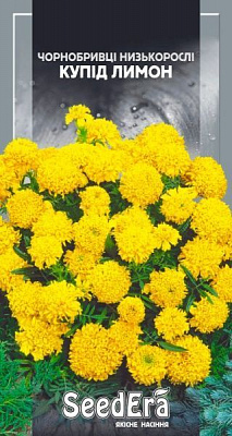 Насіння Seedera Квіти Чорнобривці Купід лимон 0,5 г