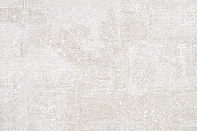 Обои виниловые на бумажной основе Славянские обои Expromt 9132-04 0,53x10,05 м