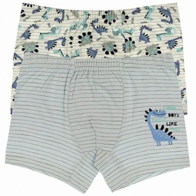Труси для хлопчика Donella 75950CB р.134-140 в асортименті