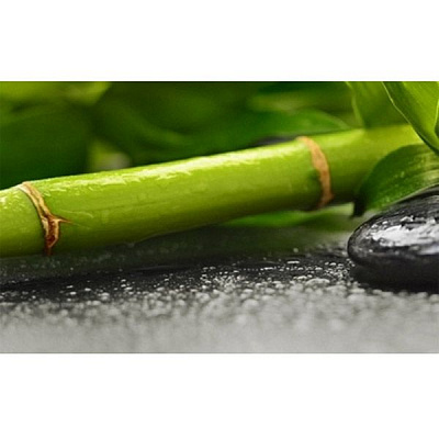 Плитка Golden Tile RELAX зелений декор №2 494321 25x40