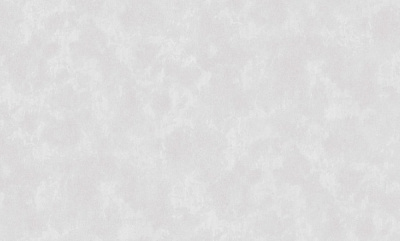 Шпалери вінілові на флізеліновій основі Status 411ST10 1,06x10,05 м