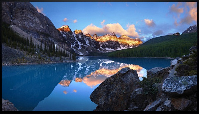 Монітор Dell U2422HWOS 23,8