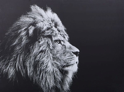Картина Лев 100x75 см Styler 