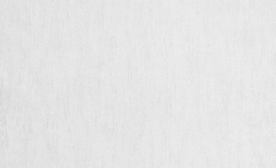 Обои виниловые на флизелиновой основе WallCOLOR W 162 C 20 1,06x10,05 м