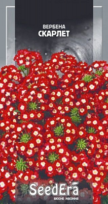Насіння вербена гібридна Скарлет 0,2 г (4823073705117)