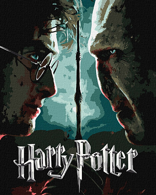Картина за номерами Harry Potter: Гаррі та Волдеморт з фарбами металік extra ©Warner Bros. 40х50 см Ideyka