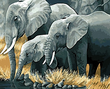Картина за номерами Родина слоників bk_1313 40x50 см BookOpt 