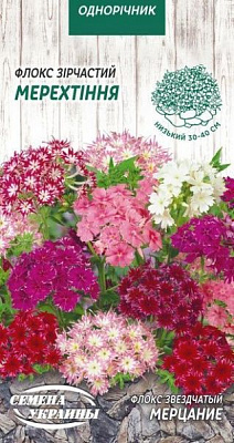 Насіння Семена Украины флокс зірчастий Мерехтіння 803700 0,2 г