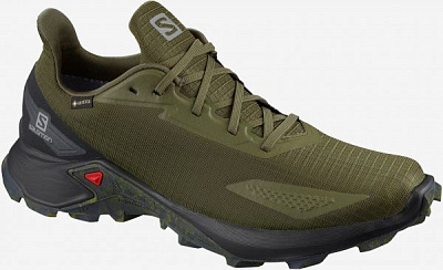 Кроссовки Salomon ALPHACROSS BLAST GTX Olive Nigh/Bk L41105800 р.US 10,5 хаки