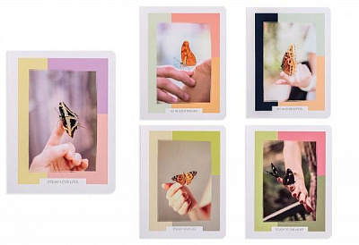 Комплект тетрадей Бабочки 48 листов в клетку золото 10 шт. Поділля