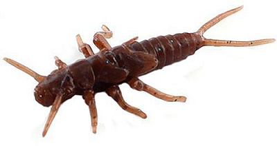 Приманки для ловли рыбы FishUp Stonefly 0.75 21 мм 12 шт. #012 - Chaos