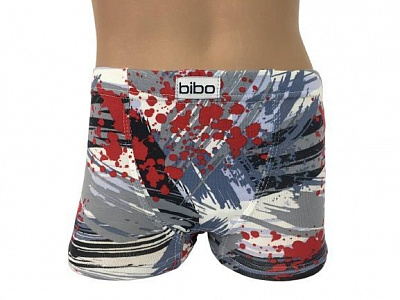 Трусы Bibo р.116 разноцветный 22045 