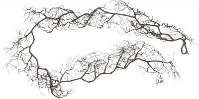 Веточка декоративная коричневая, 170258 16х11х 162 см 