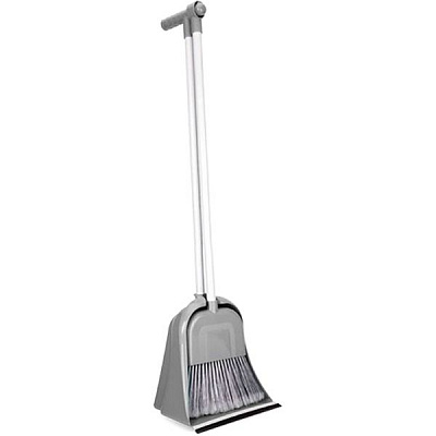 Совок + щетка Гривня Петрівна с длинной ручкой F077 