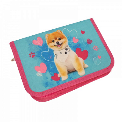 Пенал школьный Корги 52602737 Lider бирюзовый с розовым