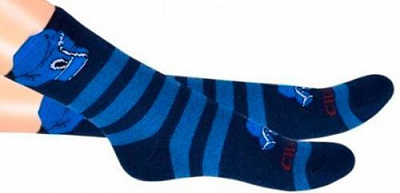 Шкарпетки дитячі 5В 405 р.18–20 синій