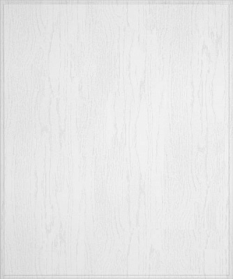 Фасад для кухни Грейд-Плюс Белая текстура супермат № 205 713х596 Невада