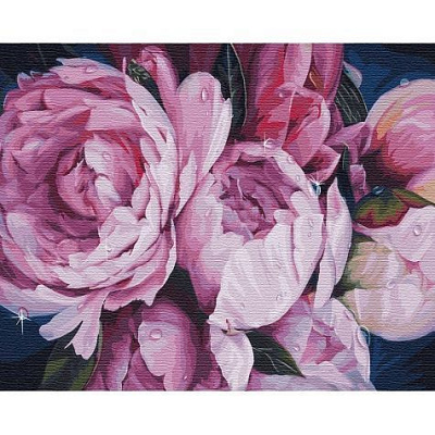 Картина по номерам Нежность пионов 40х50 см Идейка 