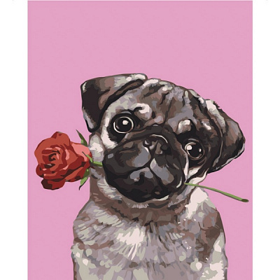 Розмальовка за номерами Strateg Мопс із розою 30х40 см SS-6403