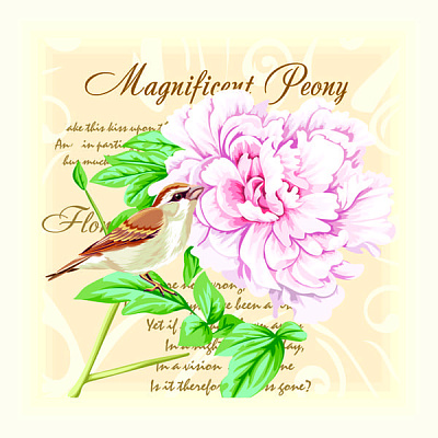 Салфетки столовые Luxy Соблазнительный пион 33х33 см бежевый 18 шт.