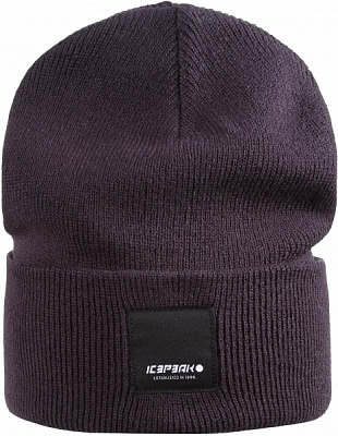 Шапка Icepeak HARCOURT 58808_850_I_390 р.one size синий