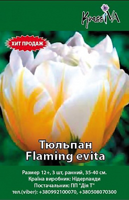 Луковица Тюльпан Flaming evita 3 шт. 